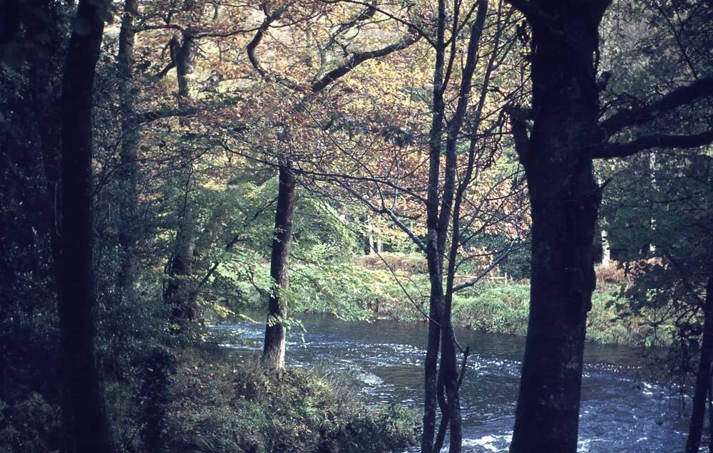 An image from the Dartmoor Trust Archive