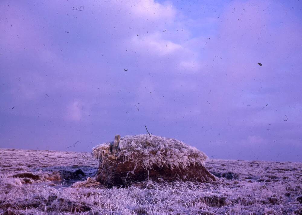 An image from the Dartmoor Trust Archive