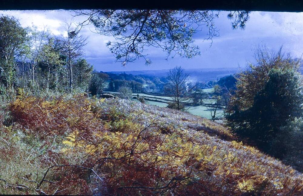 An image from the Dartmoor Trust Archive