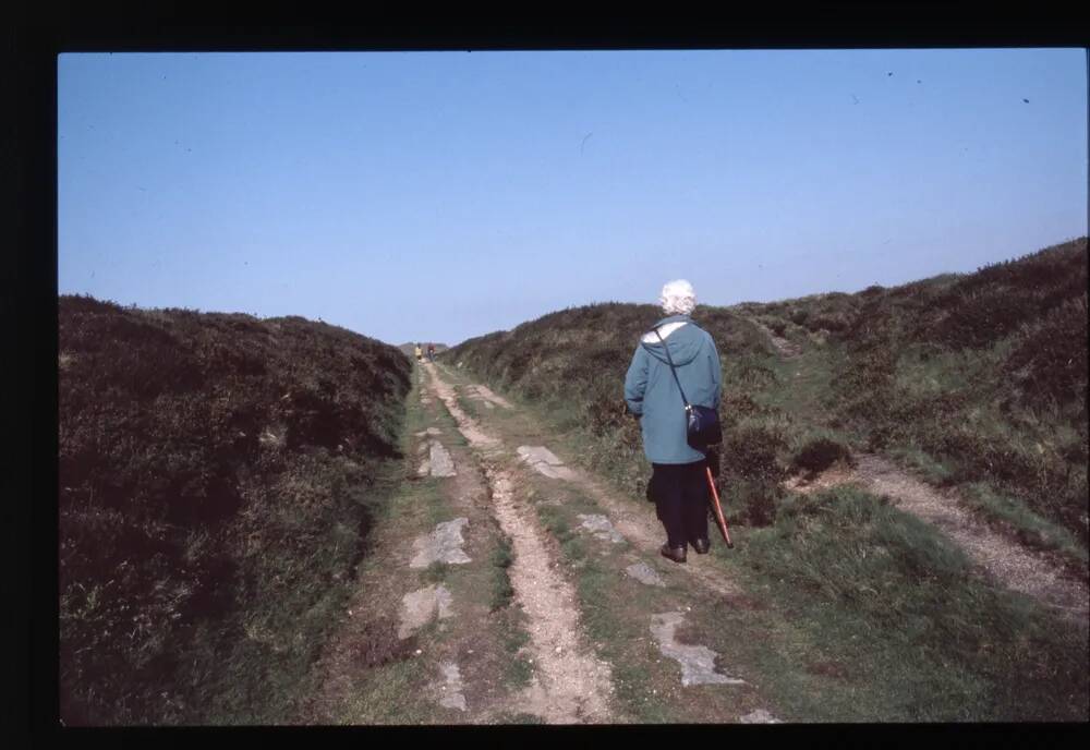 Haytor tramway - cutting