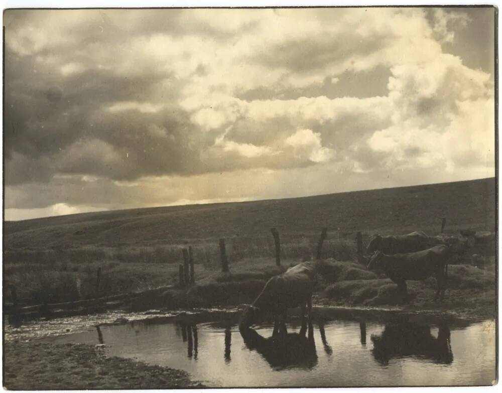 An image from the Dartmoor Trust Archive