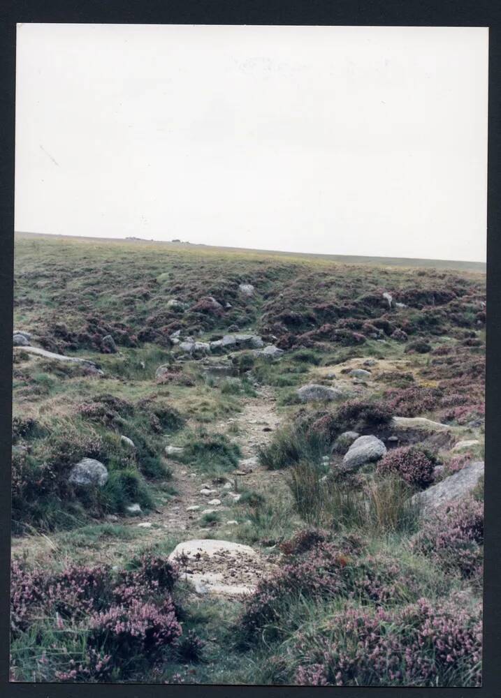 An image from the Dartmoor Trust Archive