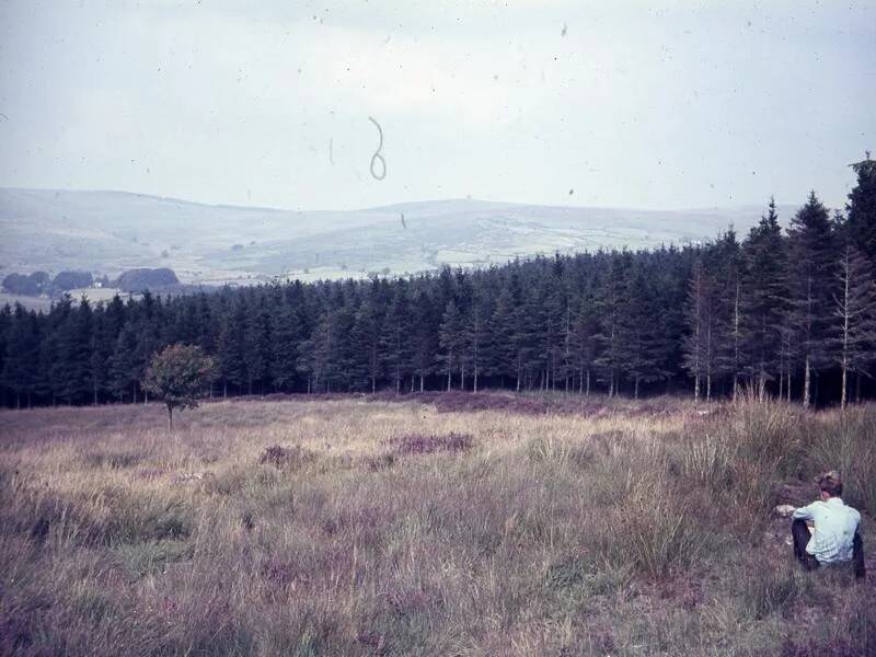 An image from the Dartmoor Trust Archive