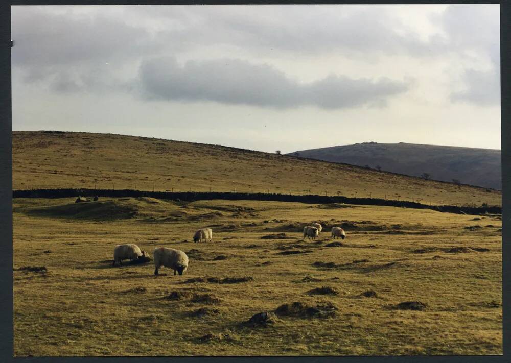 37 Long Barrow Glascombe Ball Gate 28/2/1991