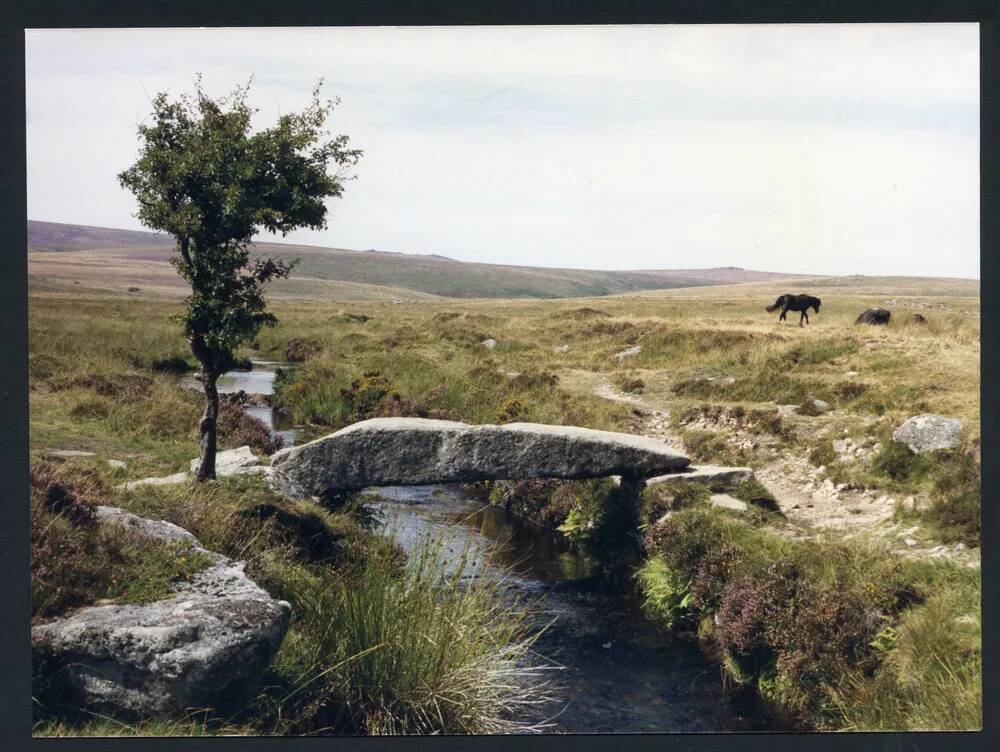 An image from the Dartmoor Trust Archive