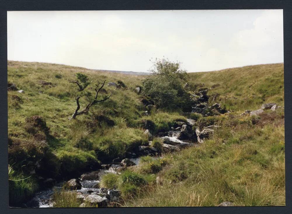 An image from the Dartmoor Trust Archive