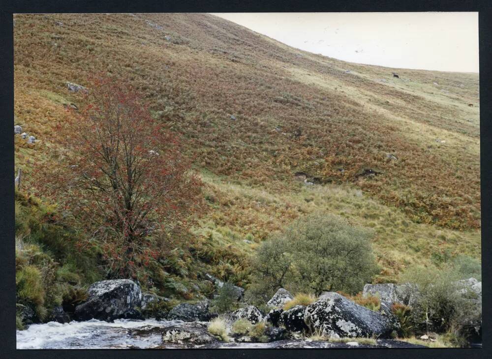 An image from the Dartmoor Trust Archive