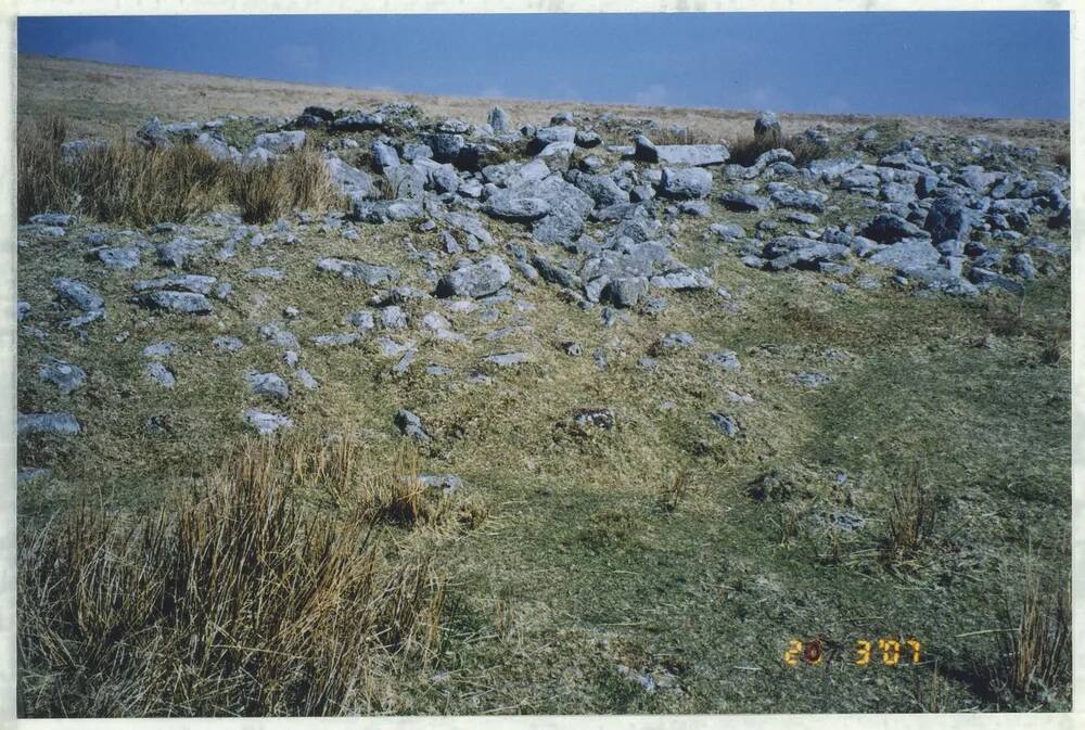 An image from the Dartmoor Trust Archive