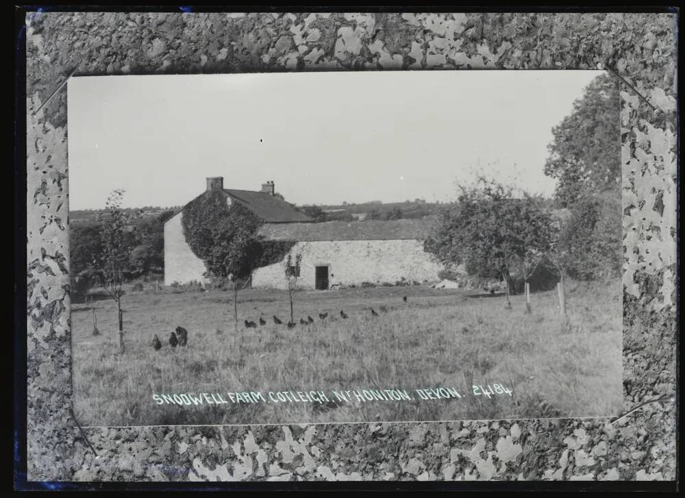 Snodwell Farm, Cotleigh