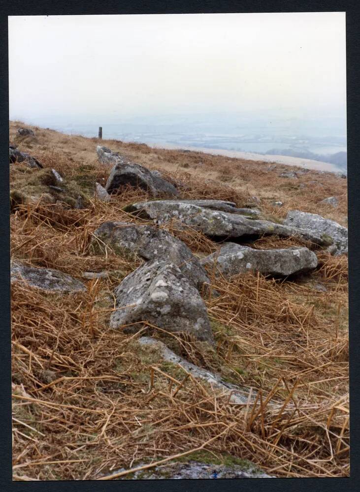 An image from the Dartmoor Trust Archive