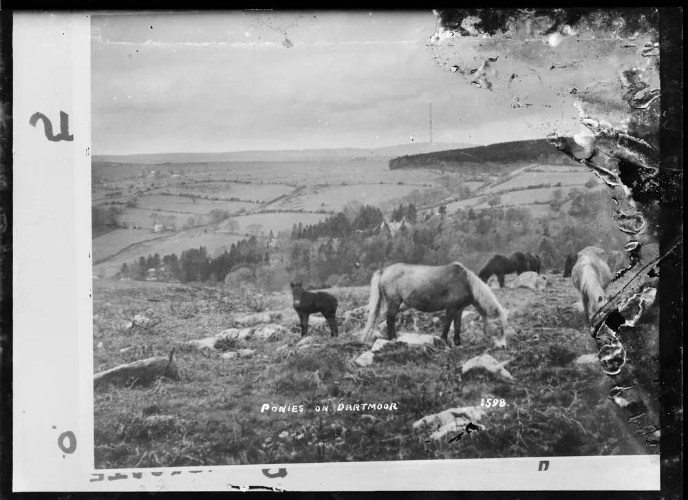 An image from the Dartmoor Trust Archive