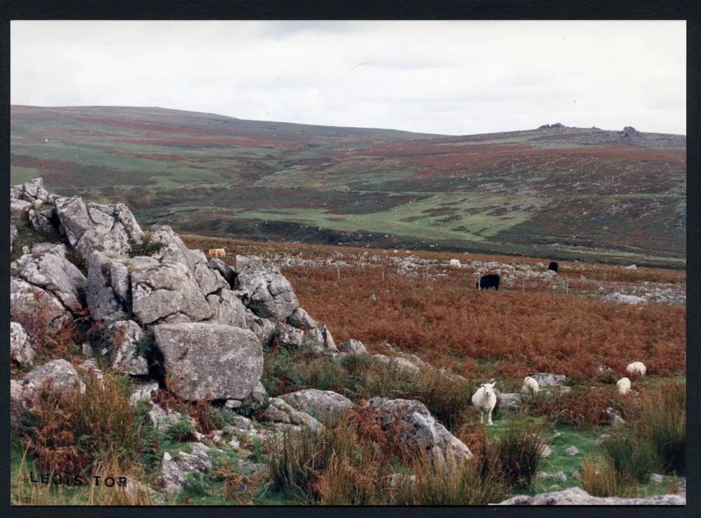 An image from the Dartmoor Trust Archive