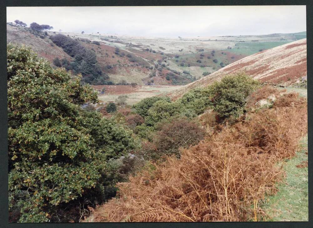 An image from the Dartmoor Trust Archive