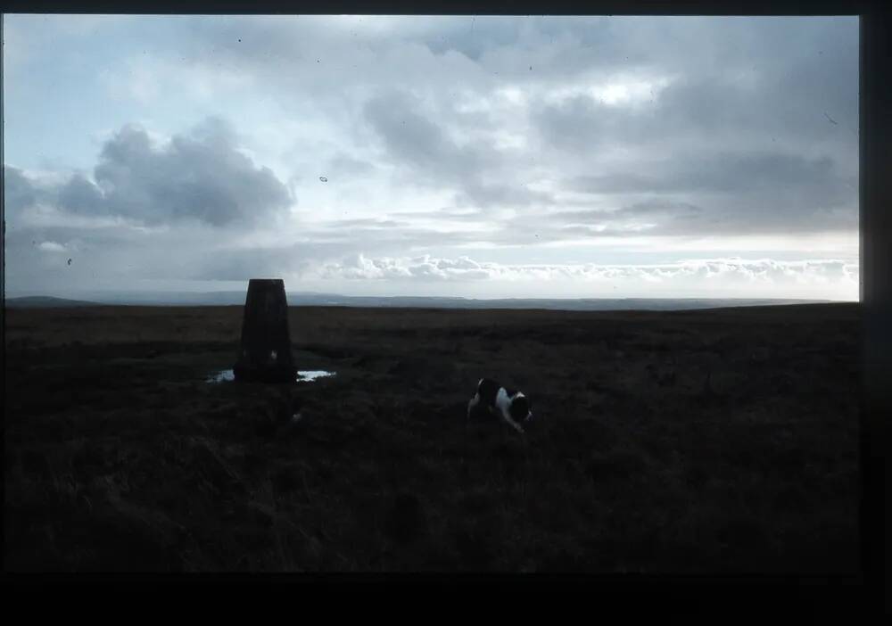 Yealm head - Trig point