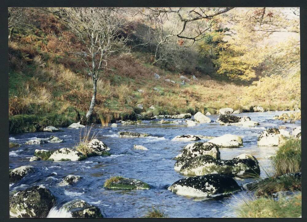 An image from the Dartmoor Trust Archive