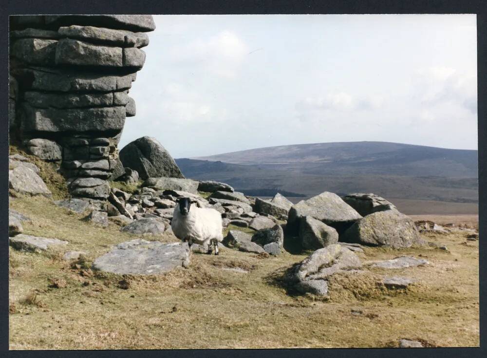 An image from the Dartmoor Trust Archive