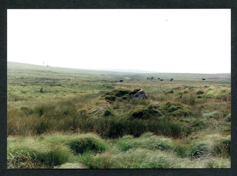 An image from the Dartmoor Trust Archive