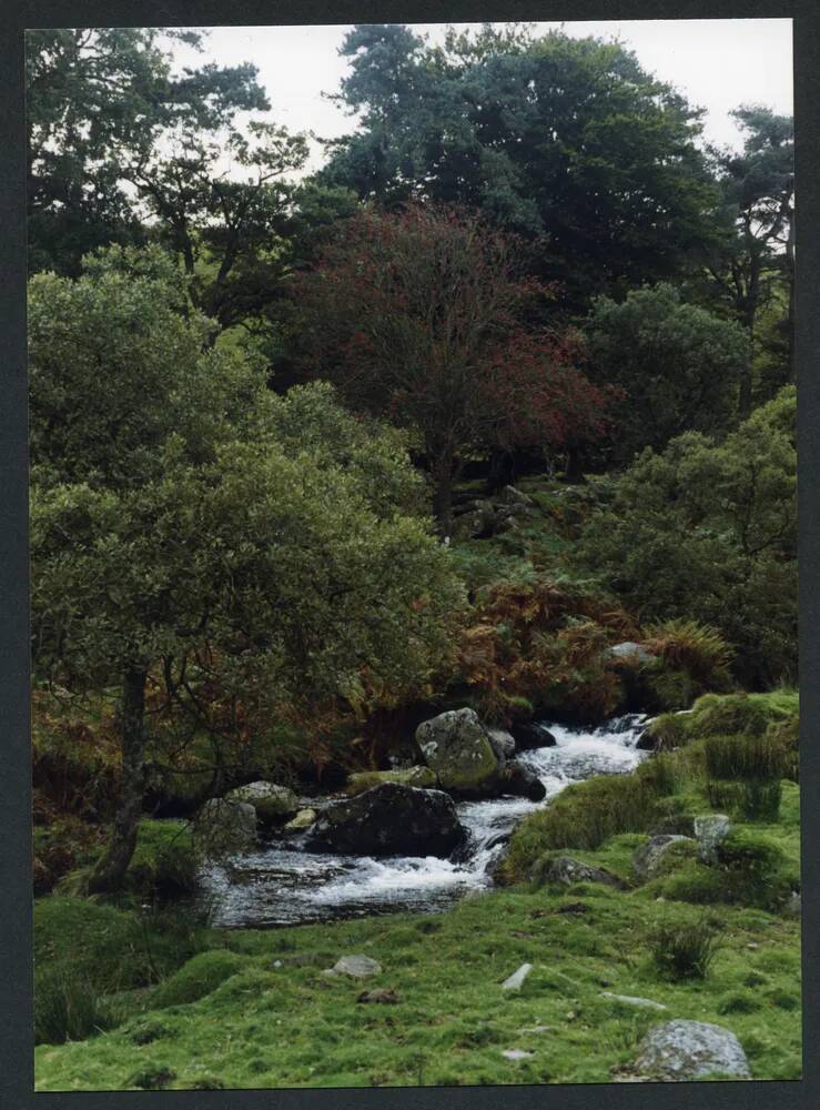 An image from the Dartmoor Trust Archive