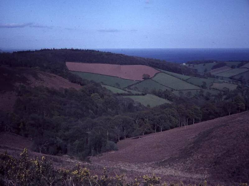 An image from the Dartmoor Trust Archive