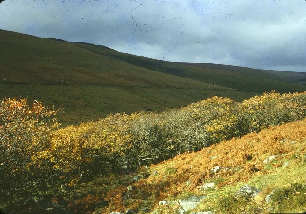 An image from the Dartmoor Trust Archive