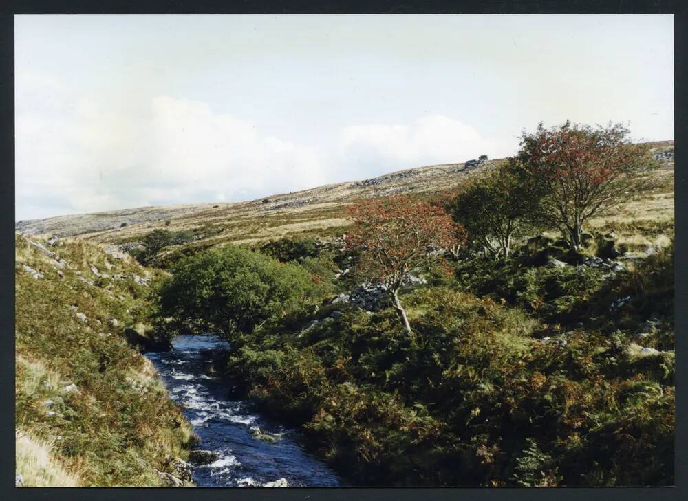 An image from the Dartmoor Trust Archive