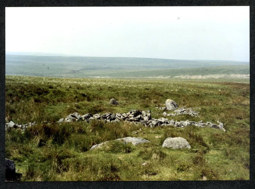 3/29 West slope of Ryder's Hill 12/6/1994