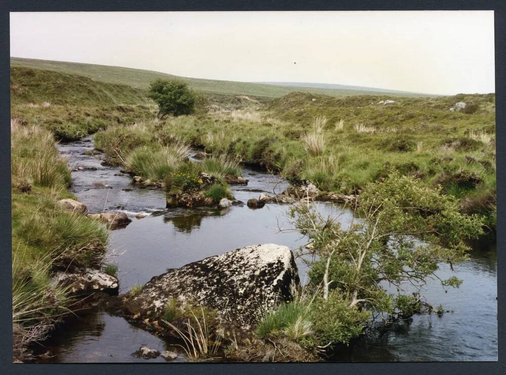 An image from the Dartmoor Trust Archive