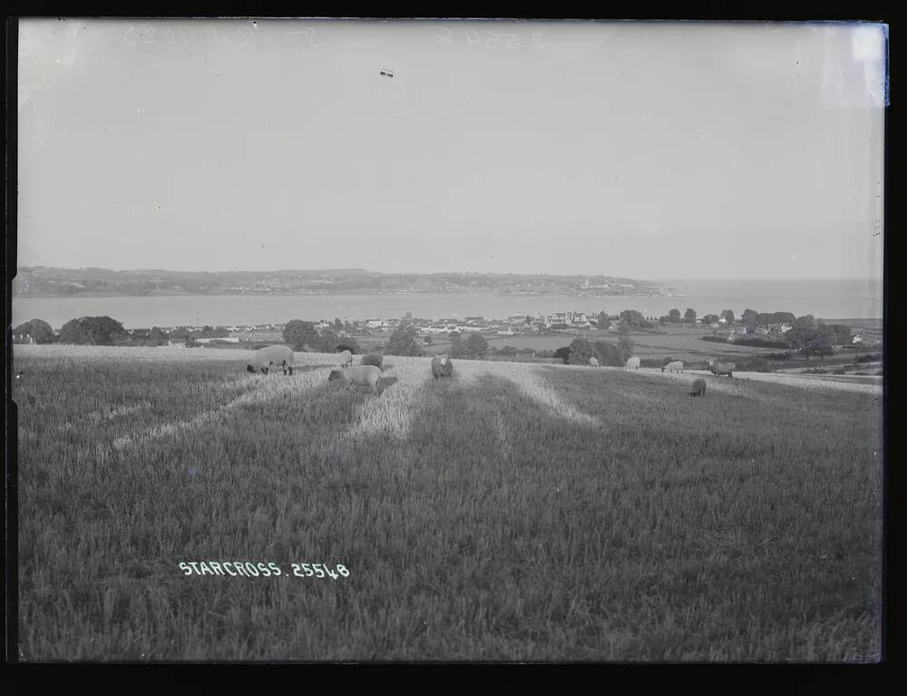 View of village, Starcross