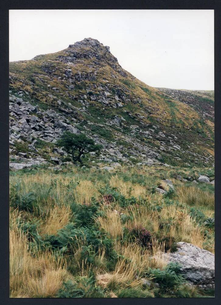 An image from the Dartmoor Trust Archive