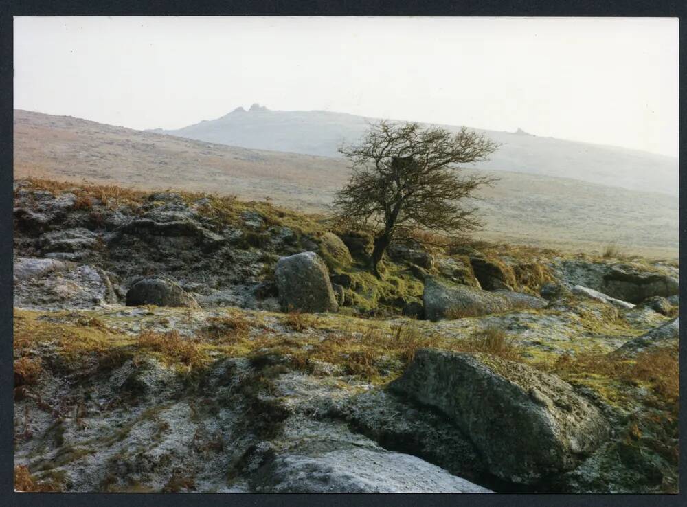 An image from the Dartmoor Trust Archive