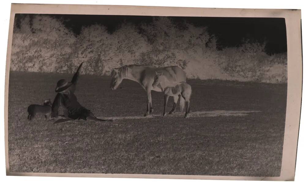 An image from the Dartmoor Trust Archive