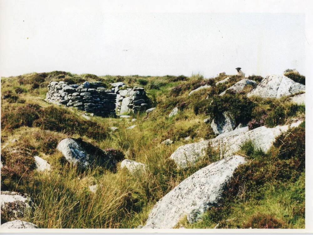 An image from the Dartmoor Trust Archive