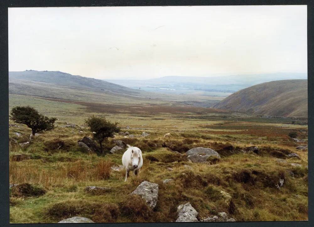 An image from the Dartmoor Trust Archive