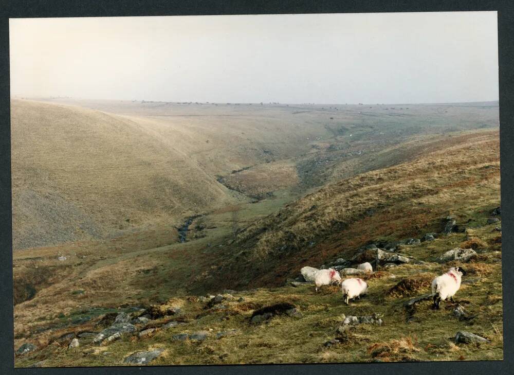 An image from the Dartmoor Trust Archive