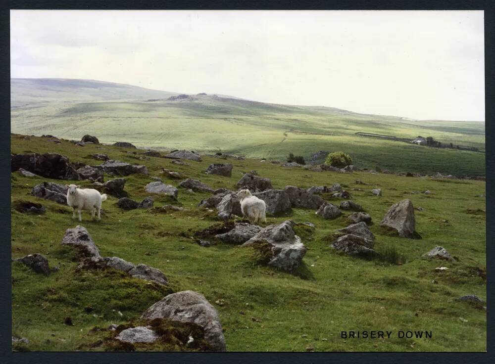 An image from the Dartmoor Trust Archive