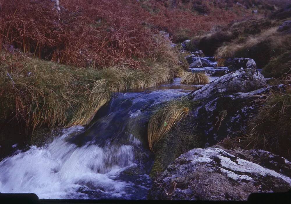 An image from the Dartmoor Trust Archive