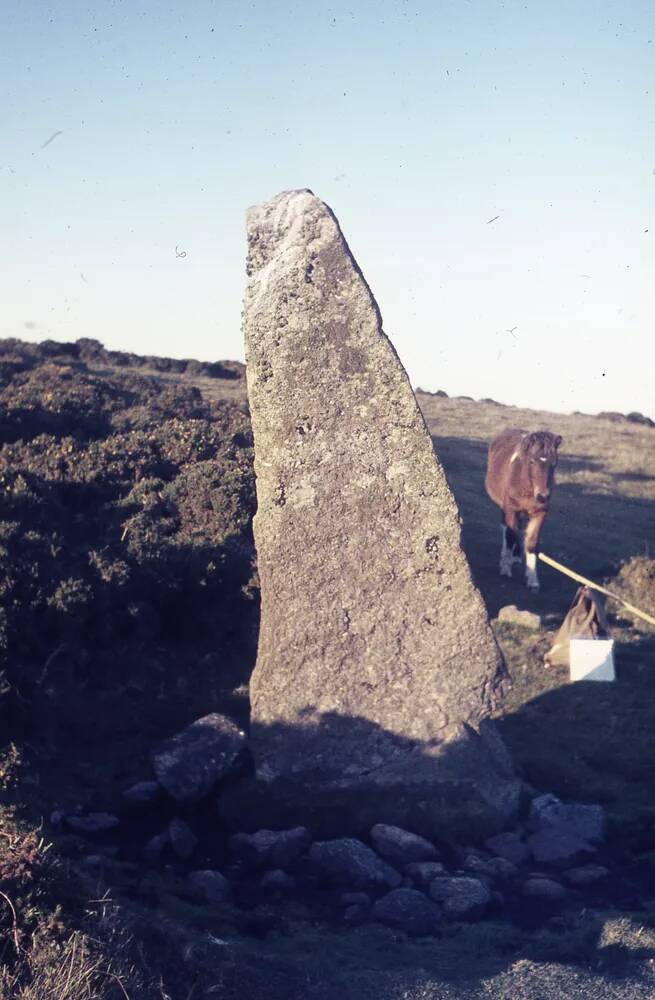 An image from the Dartmoor Trust Archive