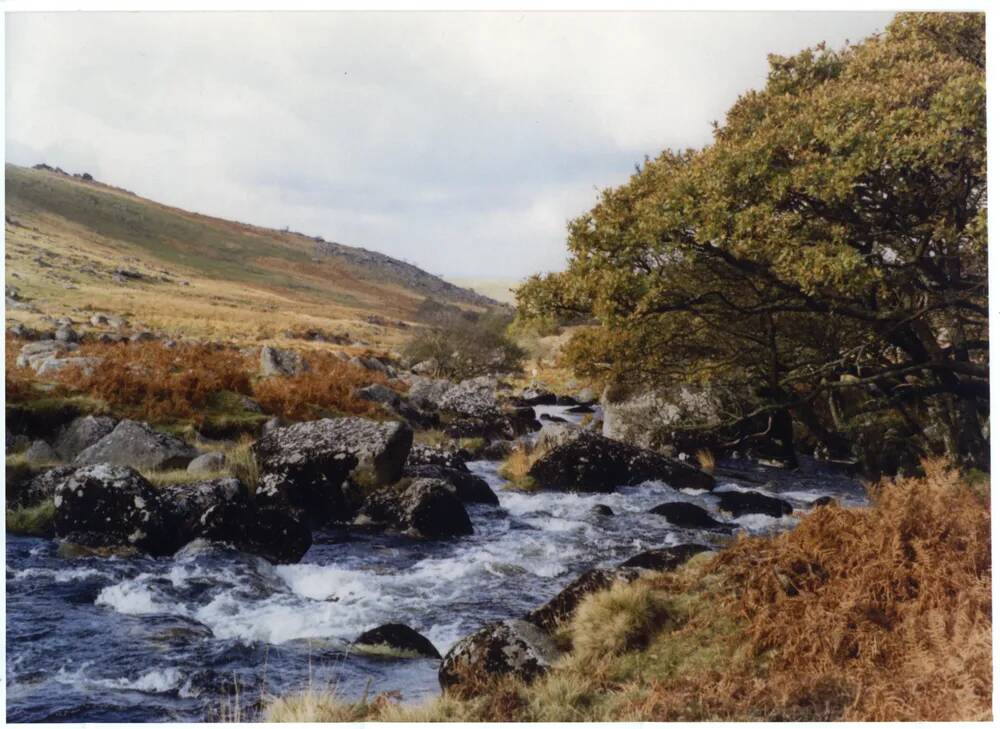 An image from the Dartmoor Trust Archive