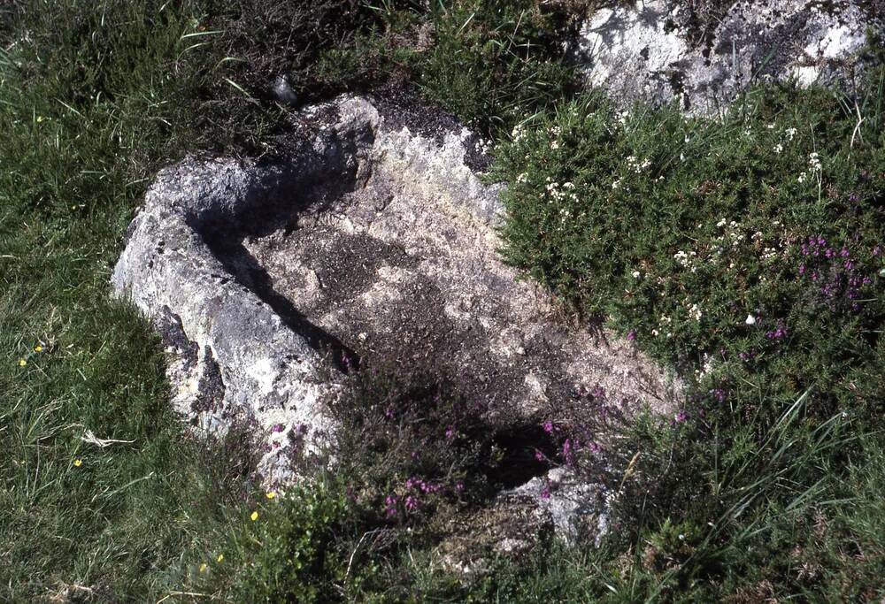 An image from the Dartmoor Trust Archive