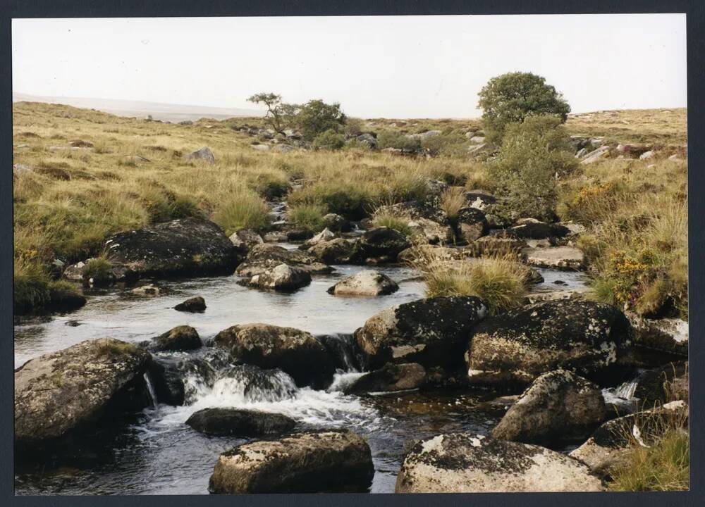 An image from the Dartmoor Trust Archive