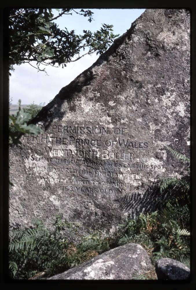 Inscribed Stone at Wistmans Wood