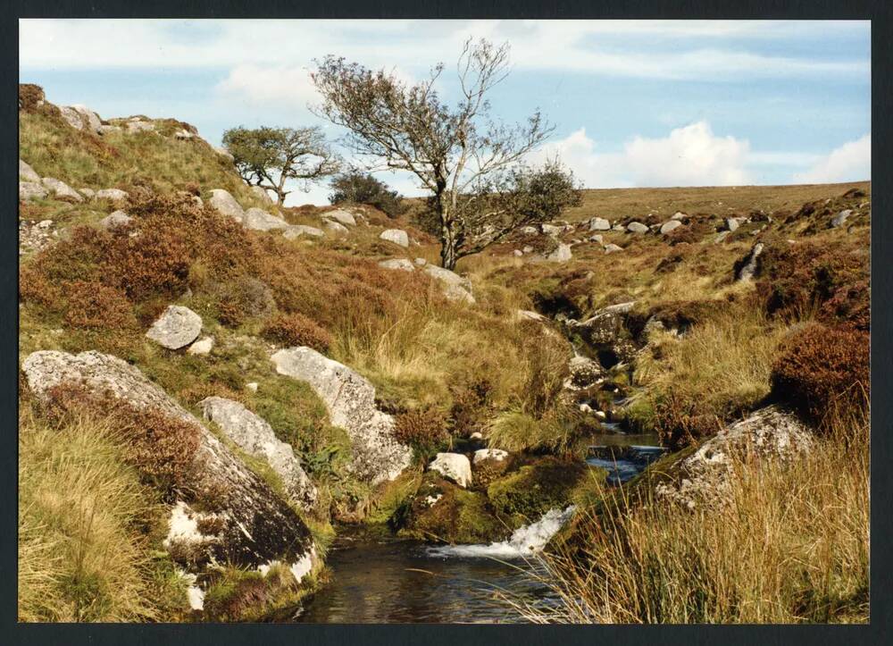 An image from the Dartmoor Trust Archive