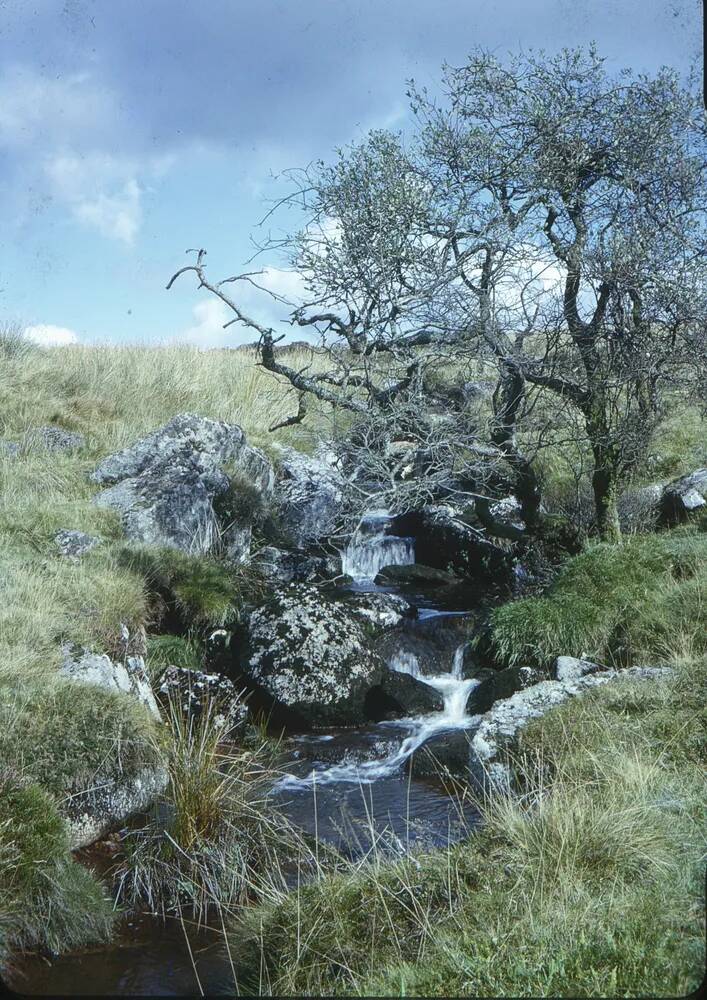 An image from the Dartmoor Trust Archive