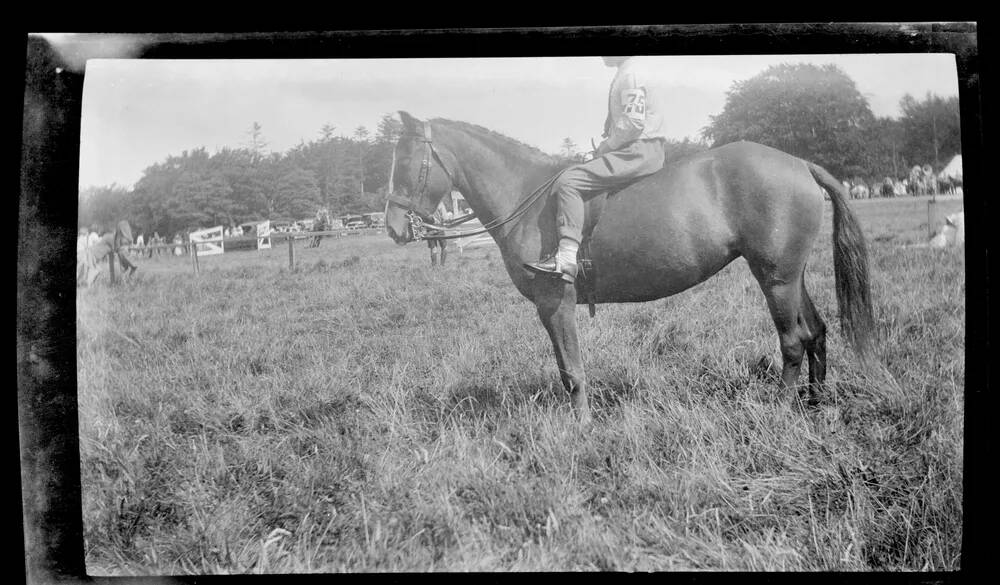 An image from the Dartmoor Trust Archive