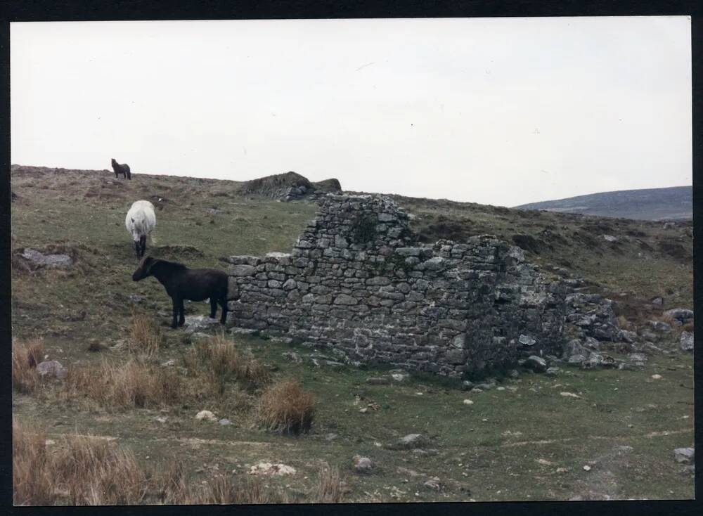 An image from the Dartmoor Trust Archive