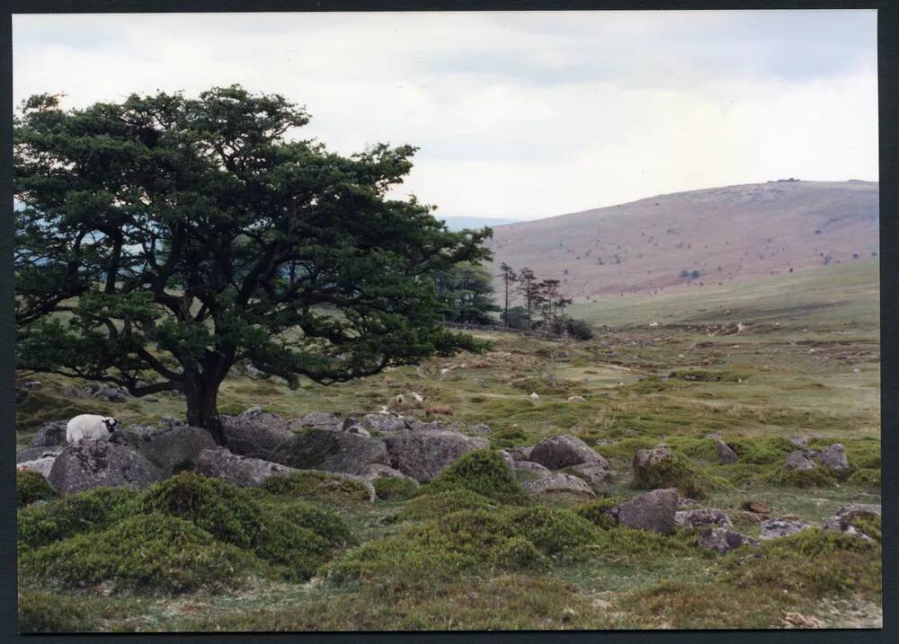 9/29 Above Glascombe Corner 29/5/1991