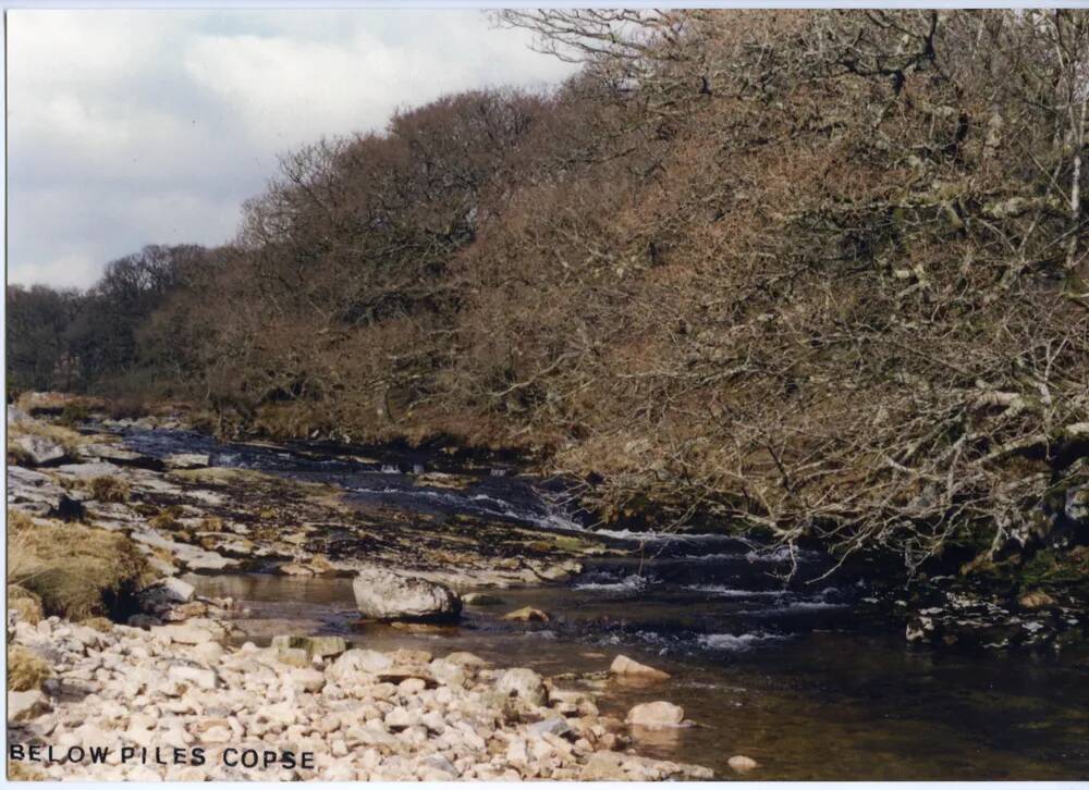 An image from the Dartmoor Trust Archive