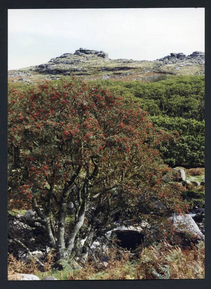 An image from the Dartmoor Trust Archive