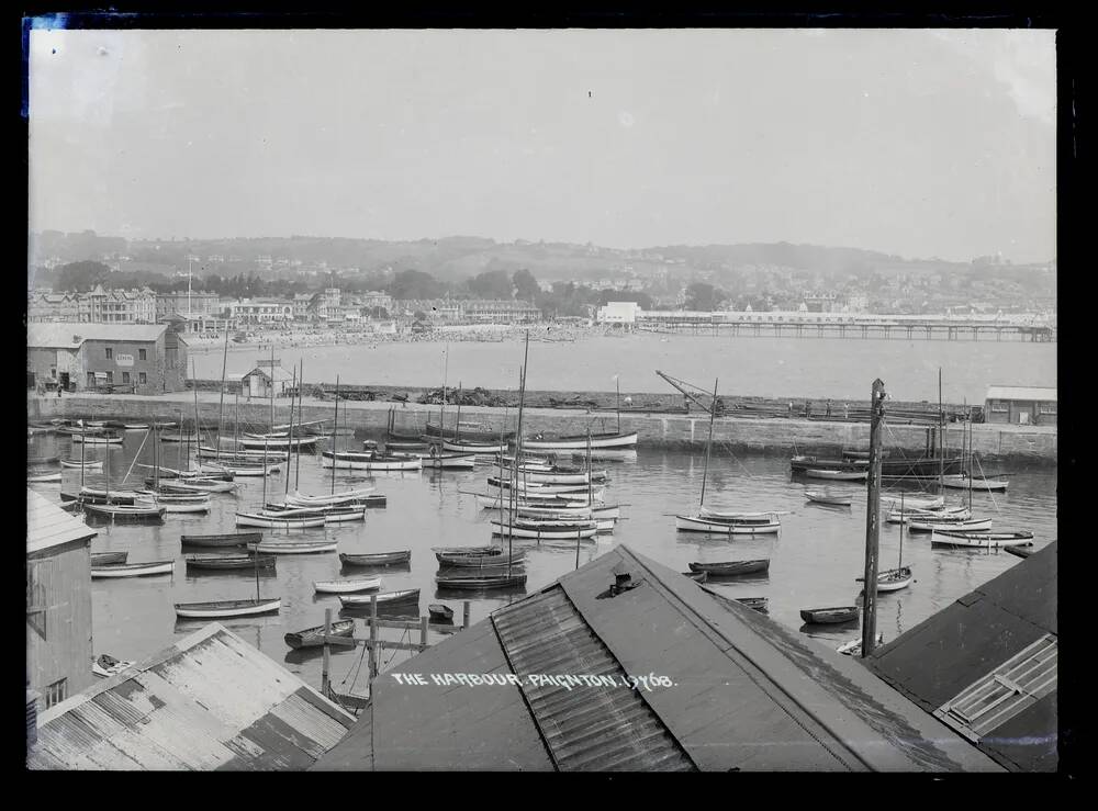 Harbour, Paignton