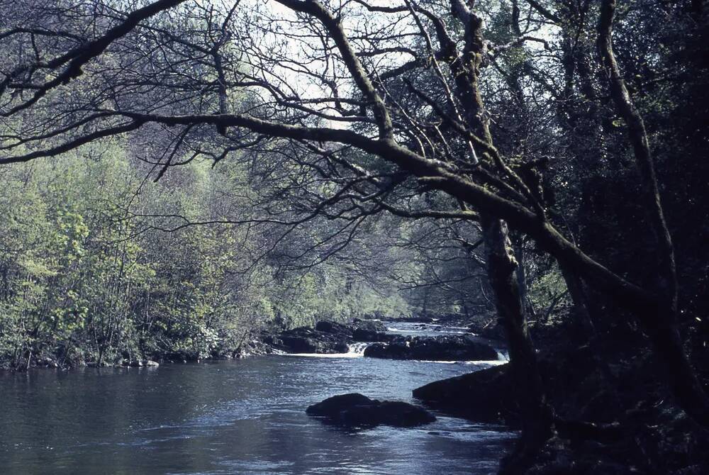 An image from the Dartmoor Trust Archive